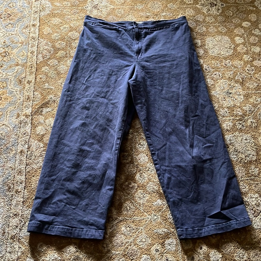 Madewell Emmett wide-leg crop pant, size 33